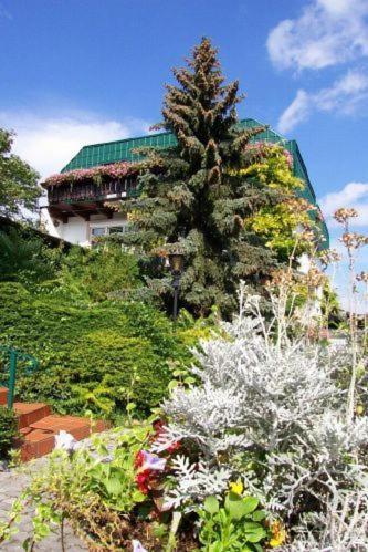 Pension Haus Böhm Gumpoldskirchen Exterior foto